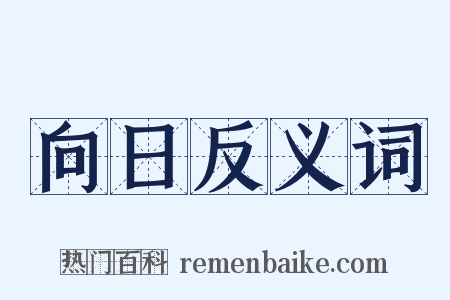 向日反义词是什么意思的图片